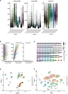 Constructing immune and prognostic features associated with ADCP in hepatocellular carcinoma and pan-cancer based on scRNA-seq and bulk RNA-seq